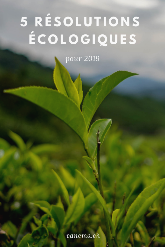 image pinterest sur 5 résolutions écologiques pour 2019