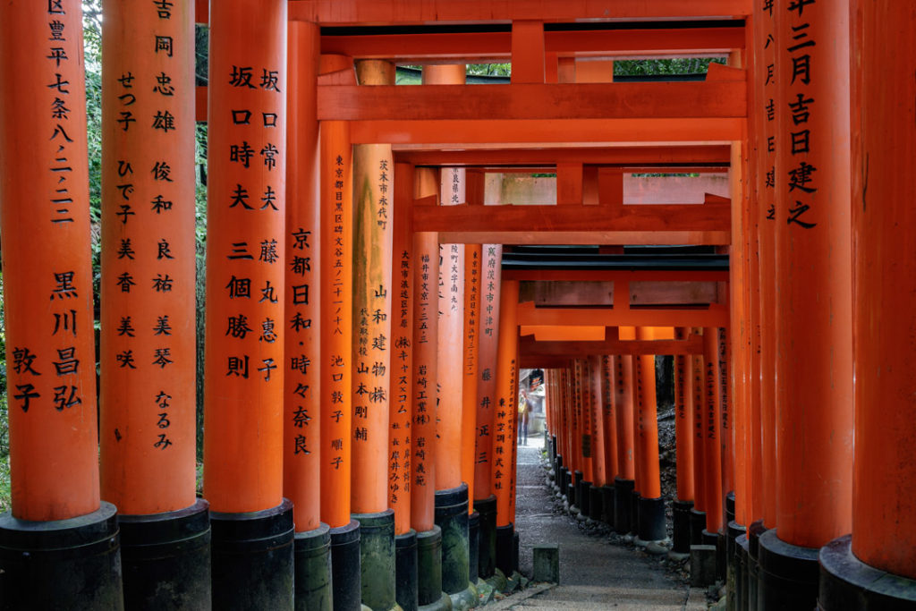 Les toriis du sanctuaire Fushimi-Inari