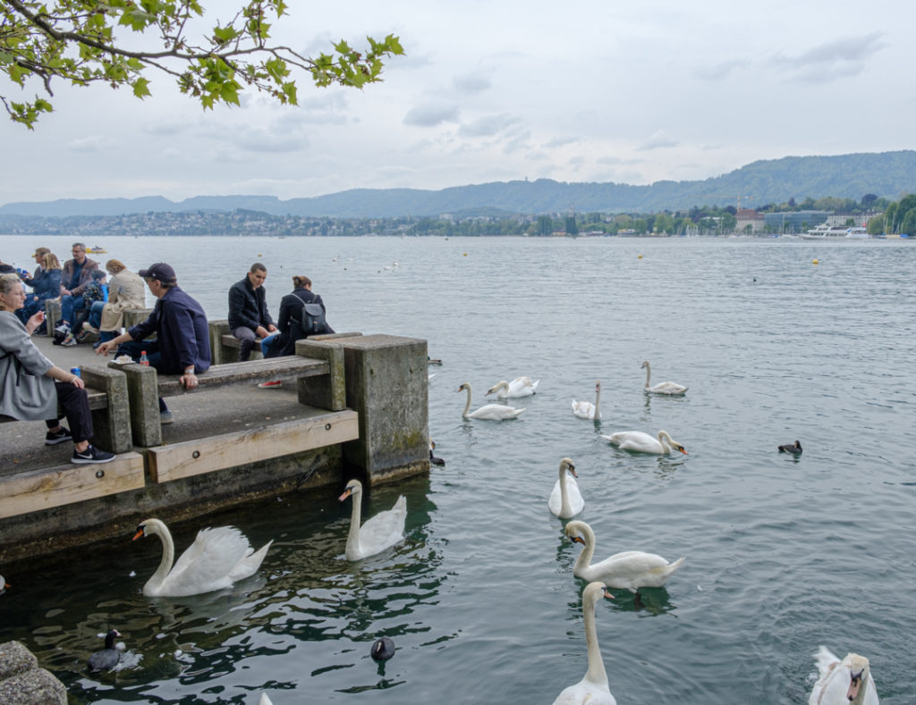 Bord du lac de Zurich