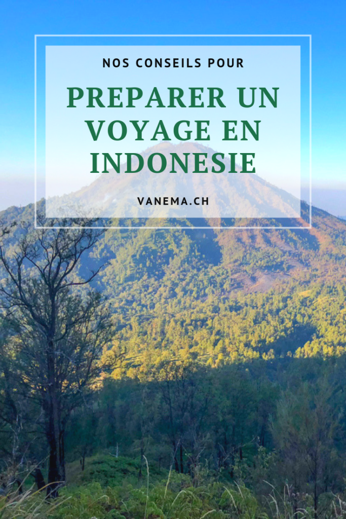Préparer un voyage en Indonésie
